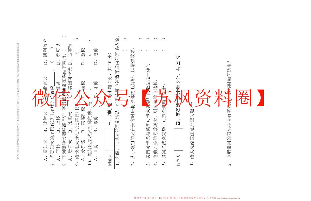 宠物美容